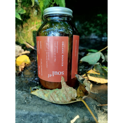Soulel Booster BIO prášok | 7 superpotravín Vegan | Wereco