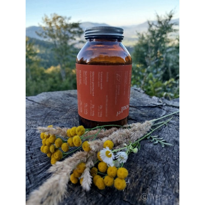 Soulel Booster BIO prášok | 7 superpotravín Vegan | Wereco