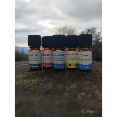 Armina bio esenciálny olej bergamot destilovaný - upokojujúci citrus | WERECO