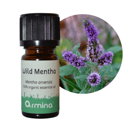 Armina Bio éterický olej Mäta lúčna (divoká) 5 ml