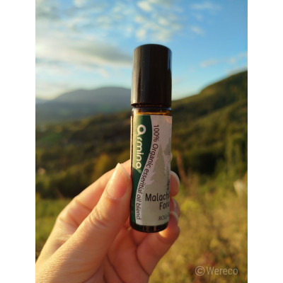 Armina Malachite Forest bio roll-on 10ml - ihličnaté oleje proti stresu | WERECO