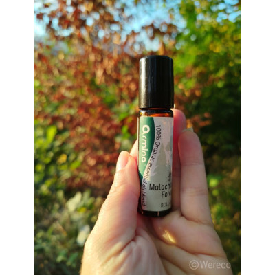 Armina Malachite Forest bio roll-on 10ml - ihličnaté oleje proti stresu | WERECO