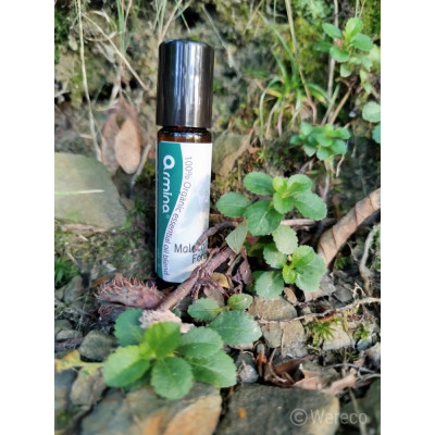 Armina Malachite Forest bio roll-on 10ml - ihličnaté oleje proti stresu | WERECO